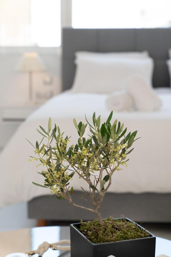 Olvar Suites Athens Luaran gambar